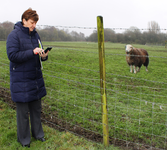 Farming accounts in wigan